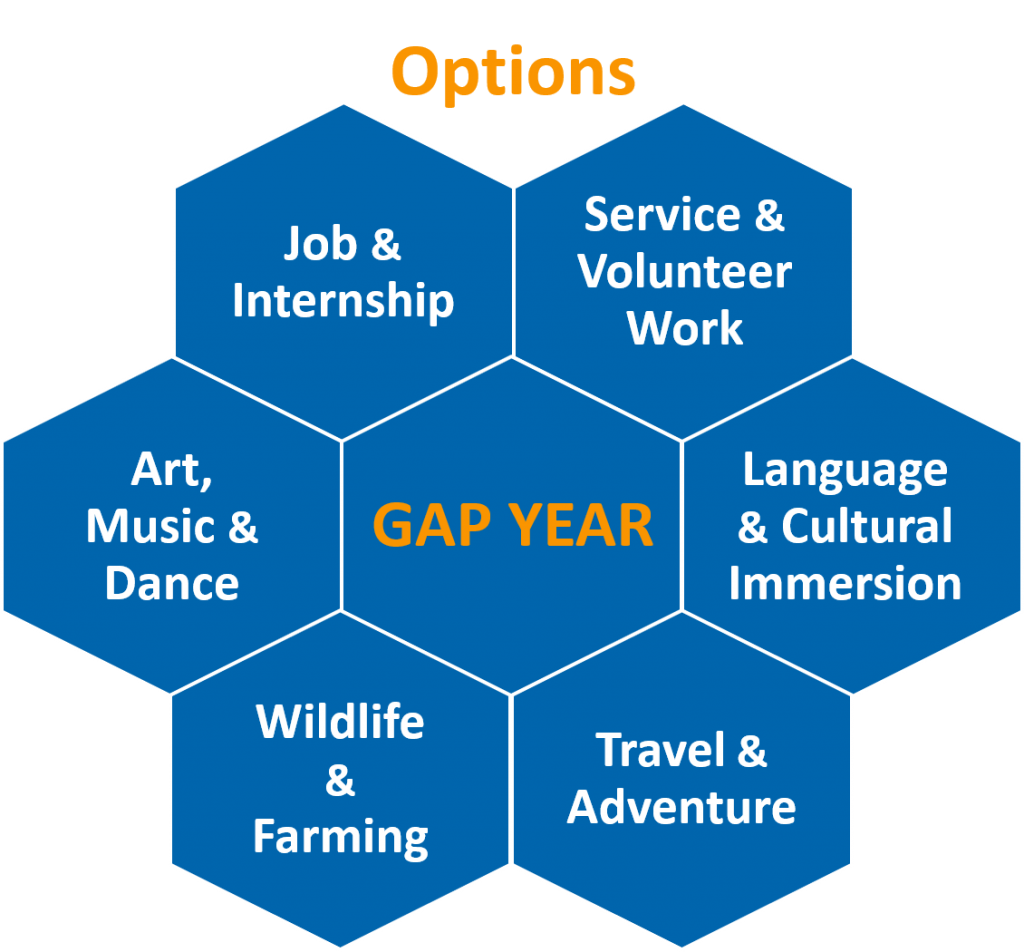 Gap Year Plan Template