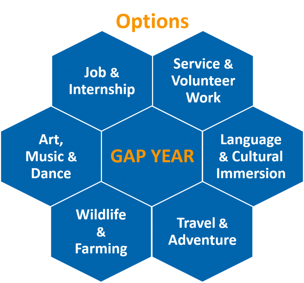 essay de gap year